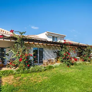  Vakantiehuis Abacatus Portugal